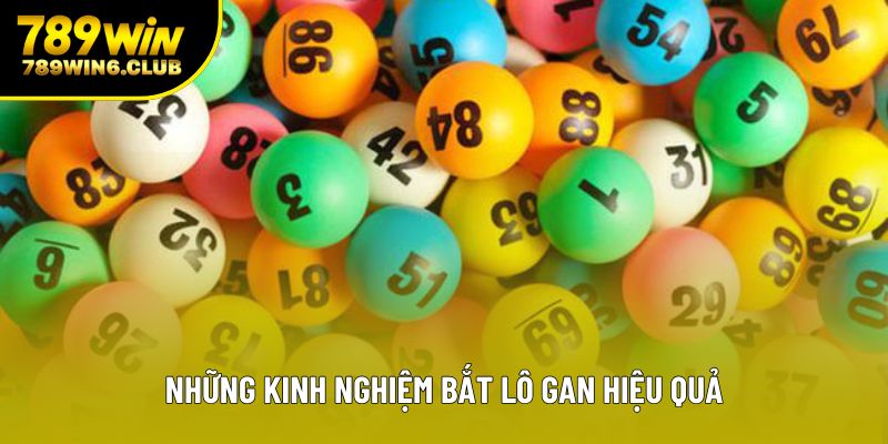 Những kinh nghiệm bắt lô gan hiệu quả